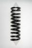 SPIDAN 85235 Coil Spring